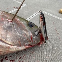 へいみつ丸 釣果