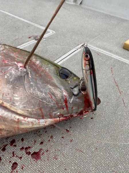 へいみつ丸 釣果