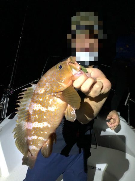 Magic（マジック） 釣果