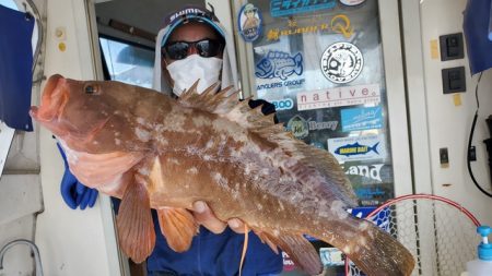 遊漁船 ニライカナイ 釣果