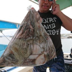 たかみ丸 釣果