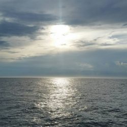 第五慶門丸 釣果