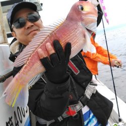 遊漁船 新鋭丸 釣果