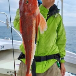 遊漁船 ニライカナイ 釣果