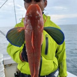 遊漁船 ニライカナイ 釣果