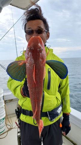 遊漁船 ニライカナイ 釣果