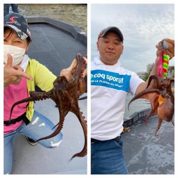 シーマジカル 釣果