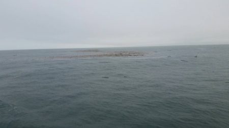 第五慶門丸 釣果