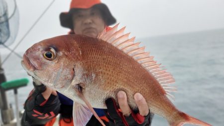 遊漁船 ニライカナイ 釣果