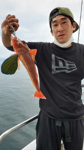 遊漁船 ニライカナイ 釣果