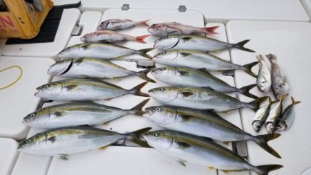 暁〜akatsuki〜 釣果