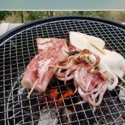 暁〜akatsuki〜 釣果