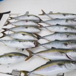 暁〜akatsuki〜 釣果