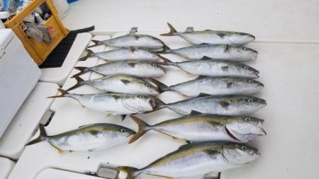 暁〜akatsuki〜 釣果