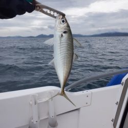 開進丸 釣果