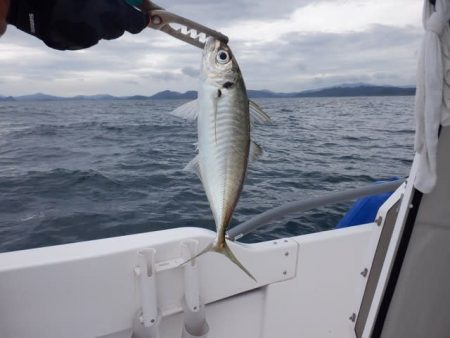 開進丸 釣果