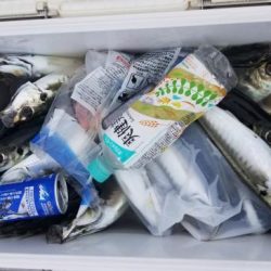 暁〜akatsuki〜 釣果