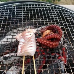 暁〜akatsuki〜 釣果