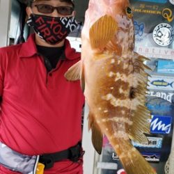 遊漁船 ニライカナイ 釣果