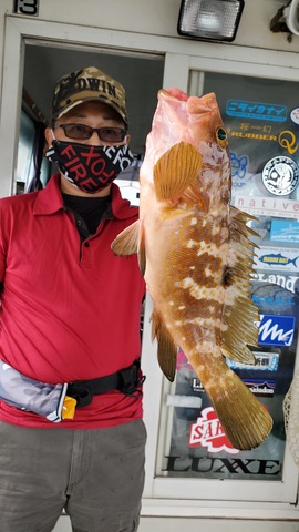 遊漁船 ニライカナイ 釣果