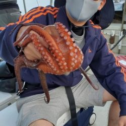 遊漁船　ニライカナイ 釣果