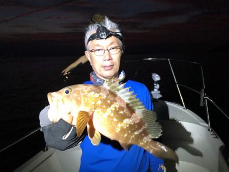 Magic(マジック) 釣果