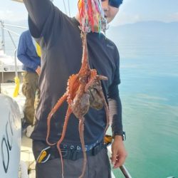 遊漁船　ニライカナイ 釣果