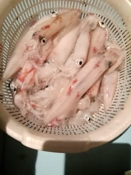 松福丸 釣果