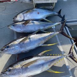 へいみつ丸 釣果