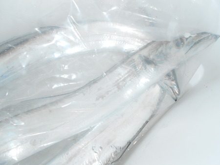 こうゆう丸 釣果