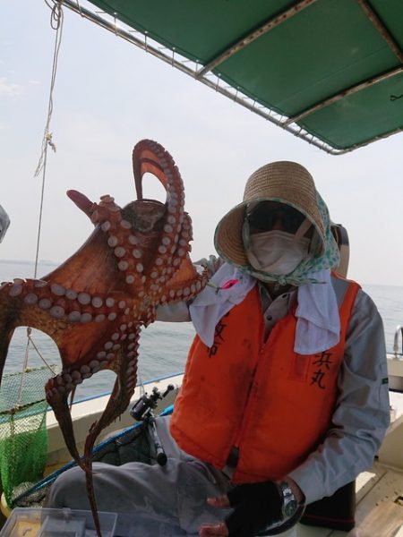たかみ丸 釣果