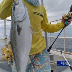 遊漁船 新鋭丸 釣果