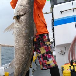 遊漁船 新鋭丸 釣果