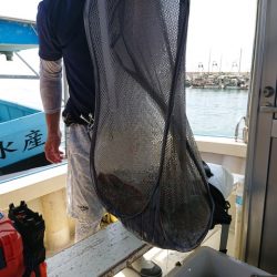 たかみ丸 釣果