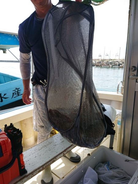 たかみ丸 釣果