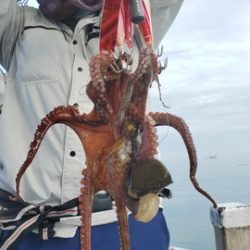 遊漁船　ニライカナイ 釣果