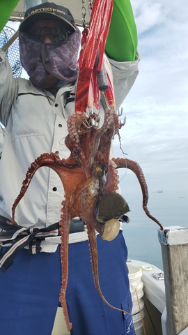 遊漁船　ニライカナイ 釣果