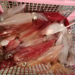 松福丸 釣果