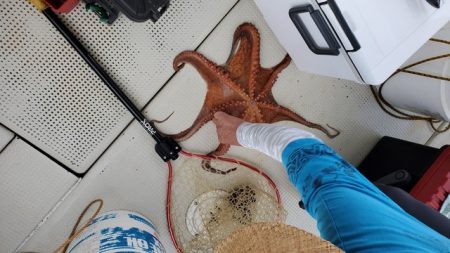 遊漁船　ニライカナイ 釣果