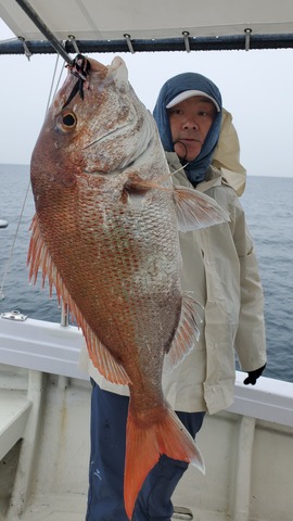 遊漁船　ニライカナイ 釣果
