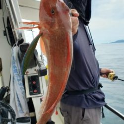 遊漁船 ニライカナイ 釣果