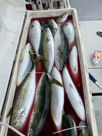 ミタチ丸 釣果