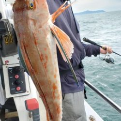 遊漁船 ニライカナイ 釣果