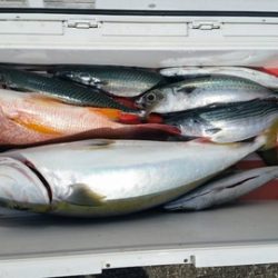 第五慶門丸 釣果