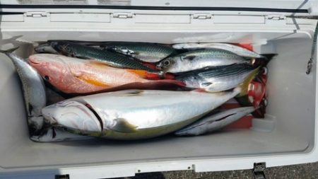 第五慶門丸 釣果