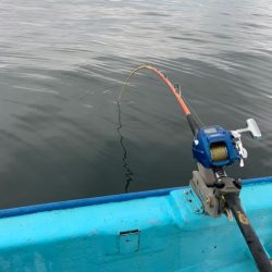 宝昌丸 釣果