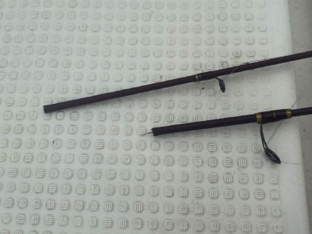 TOPGUN名古屋 釣果