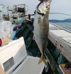 松福丸 釣果