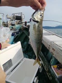松福丸 釣果
