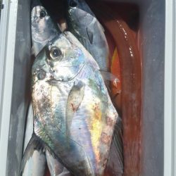 第五慶門丸 釣果